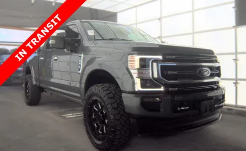 Gray 2022 Ford Super Duty F-250 SRW Platinum for sale in Alvin, TX