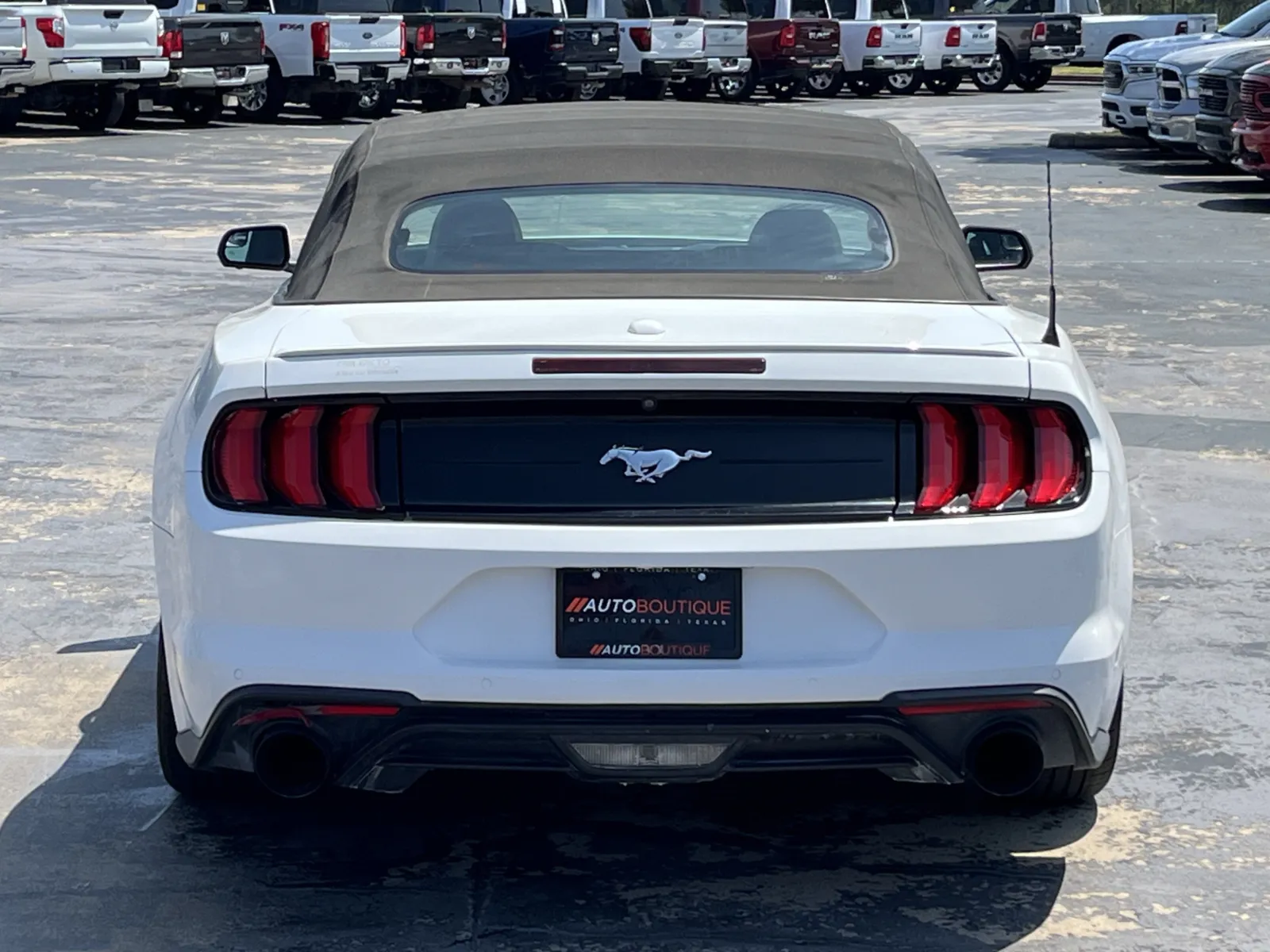 Ford Mustang photo 7