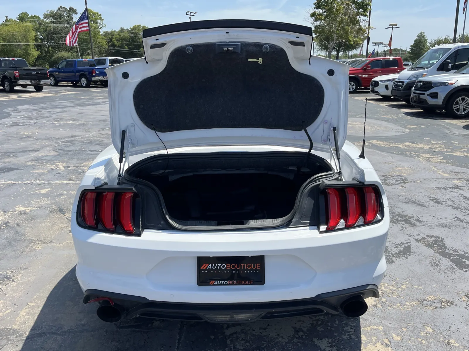 Ford Mustang photo 11