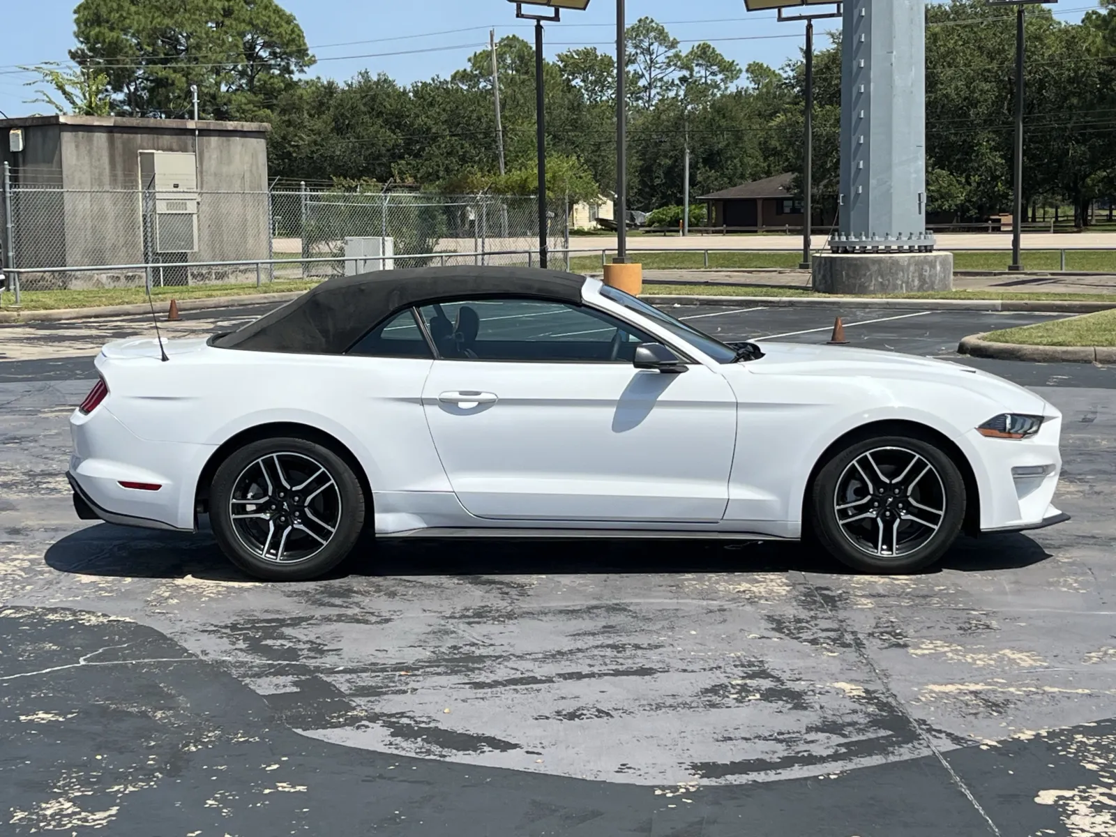 Ford Mustang photo 10