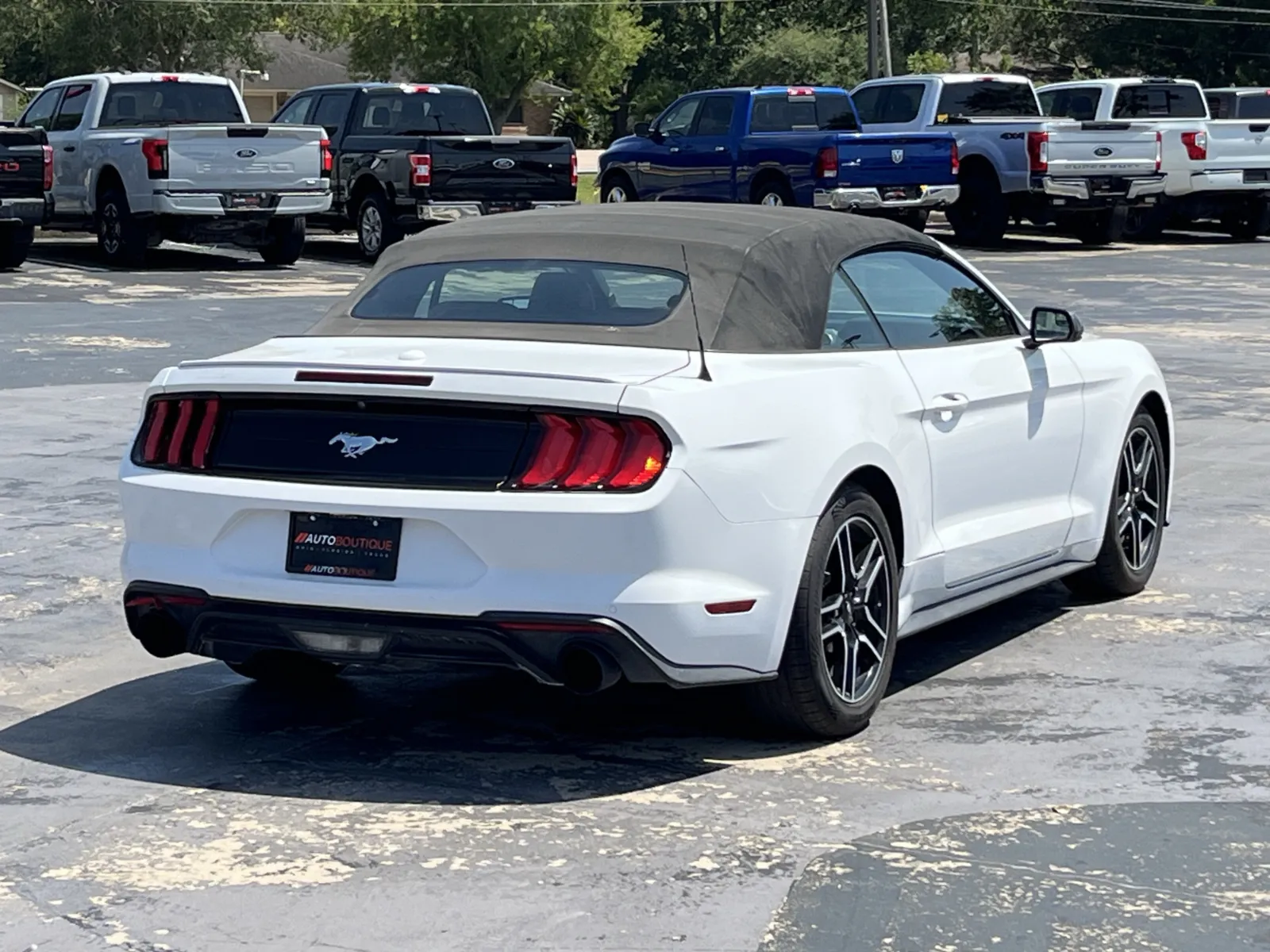 Ford Mustang photo 9