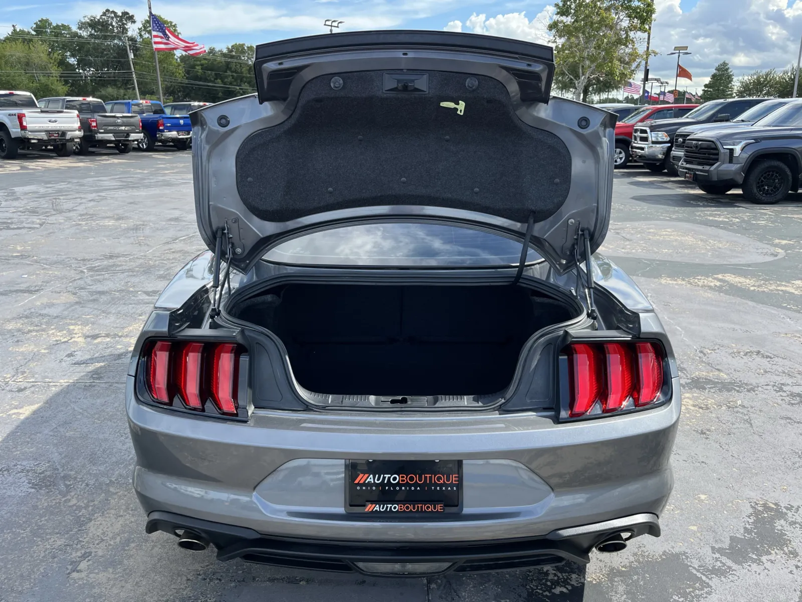 Ford Mustang photo 11