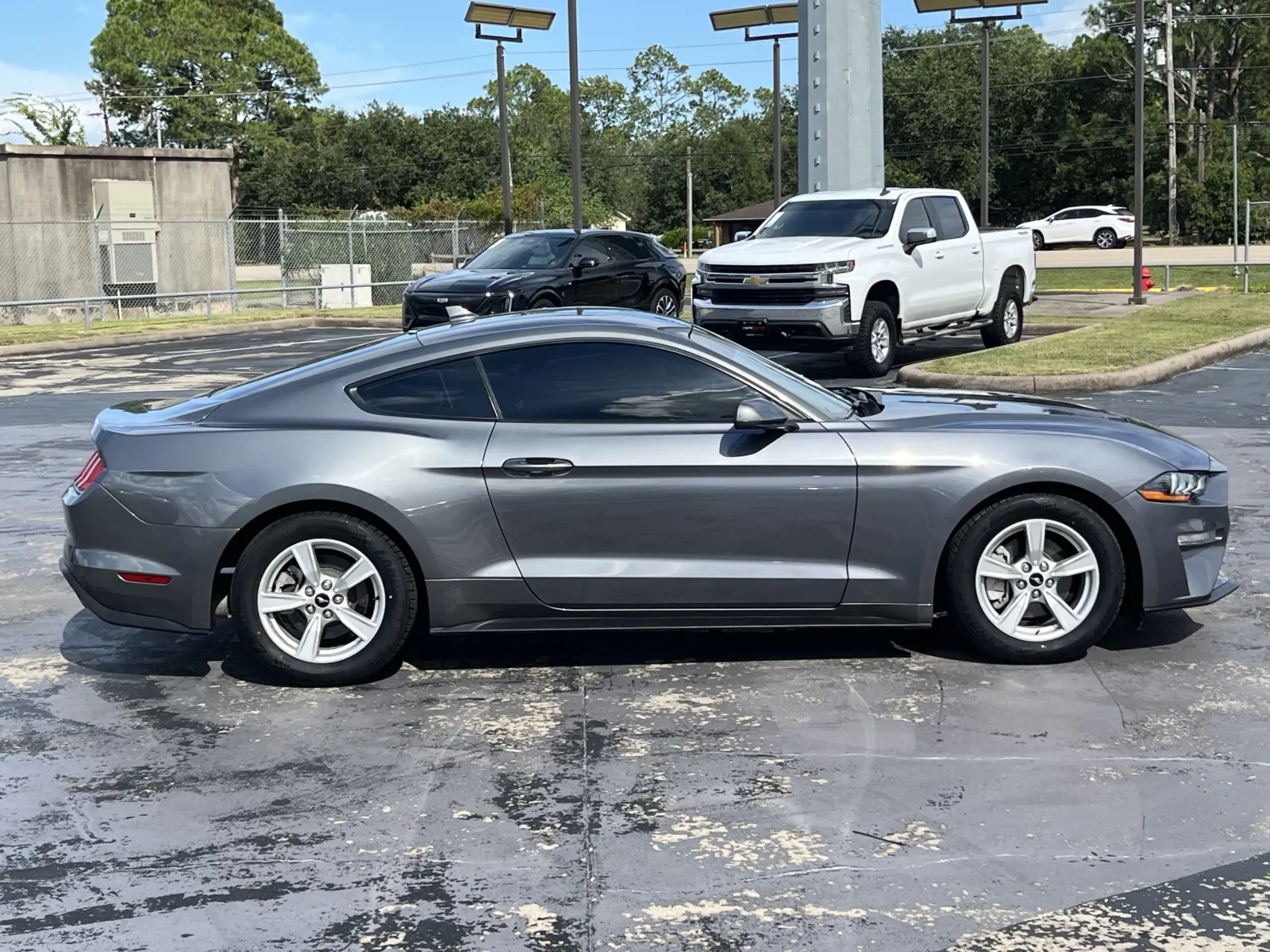 Ford Mustang photo 10