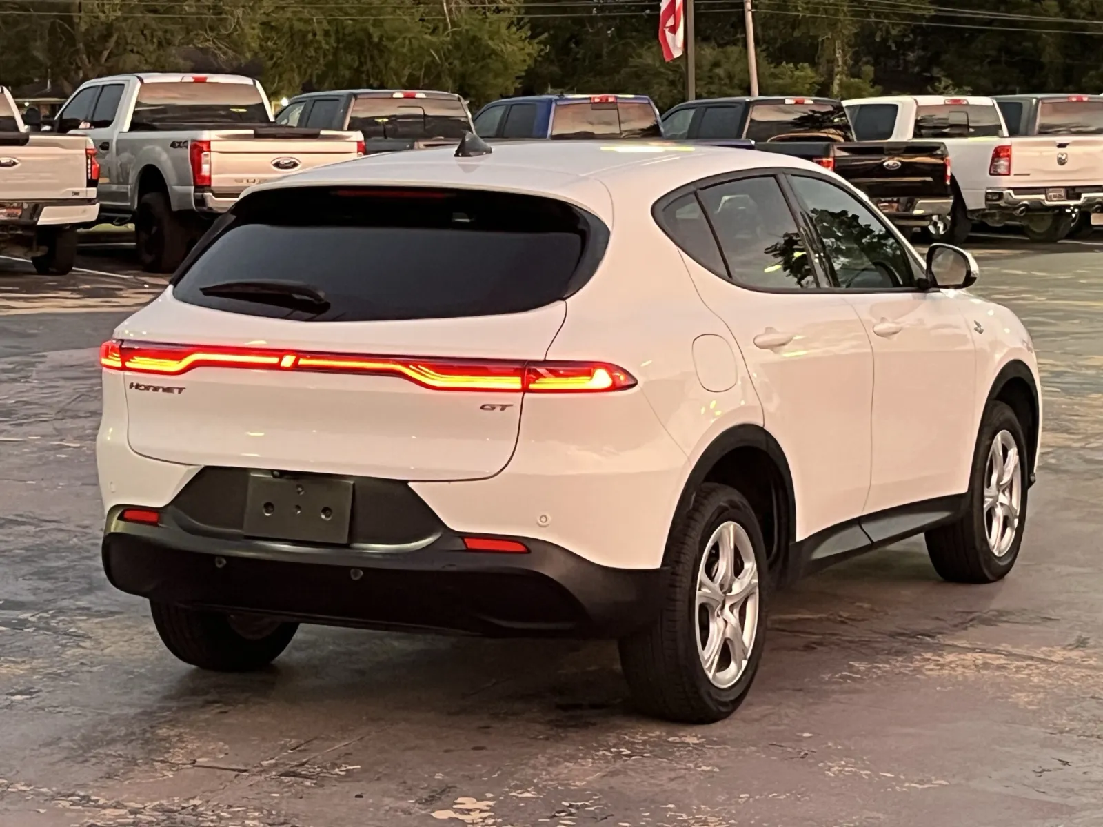 Dodge Hornet photo 8