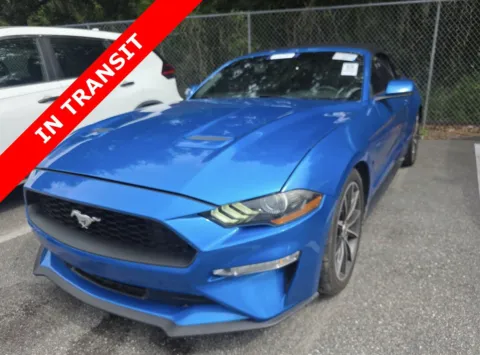 Blue 2019 Ford Mustang EcoBoost Premium for sale in Alvin, TX