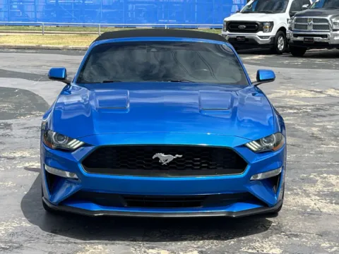 More photos of 2019 Ford Mustang EcoBoost Premium at Auto Boutique Texas, TX