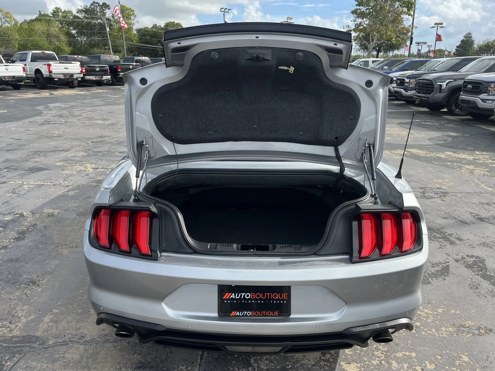 Ford Mustang photo 11