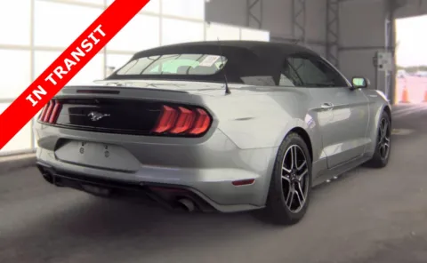 More photos of 2022 Ford Mustang EcoBoost Premium at Auto Boutique Texas, TX