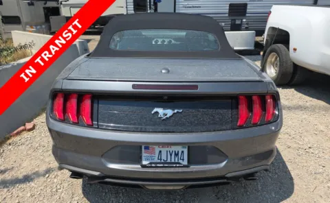 More photos of 2023 Ford Mustang EcoBoost Premium at Auto Boutique Texas, TX