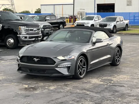 Photos of 2023 Ford Mustang EcoBoost Premium for sale in Alvin, TX at Auto Boutique Texas