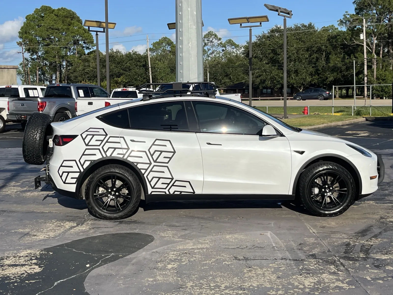 Tesla Model Y photo 11