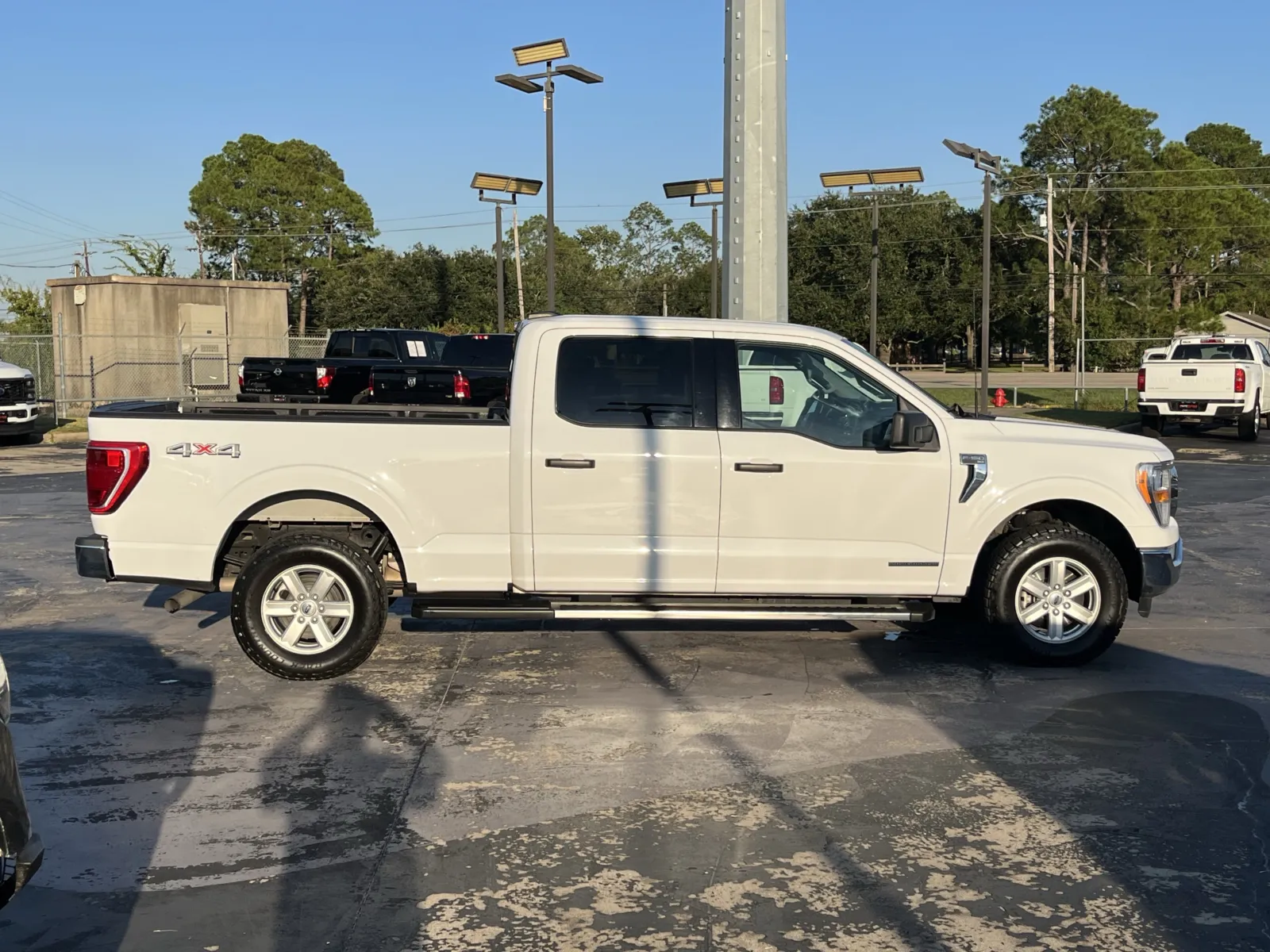 Ford F-150 photo 10