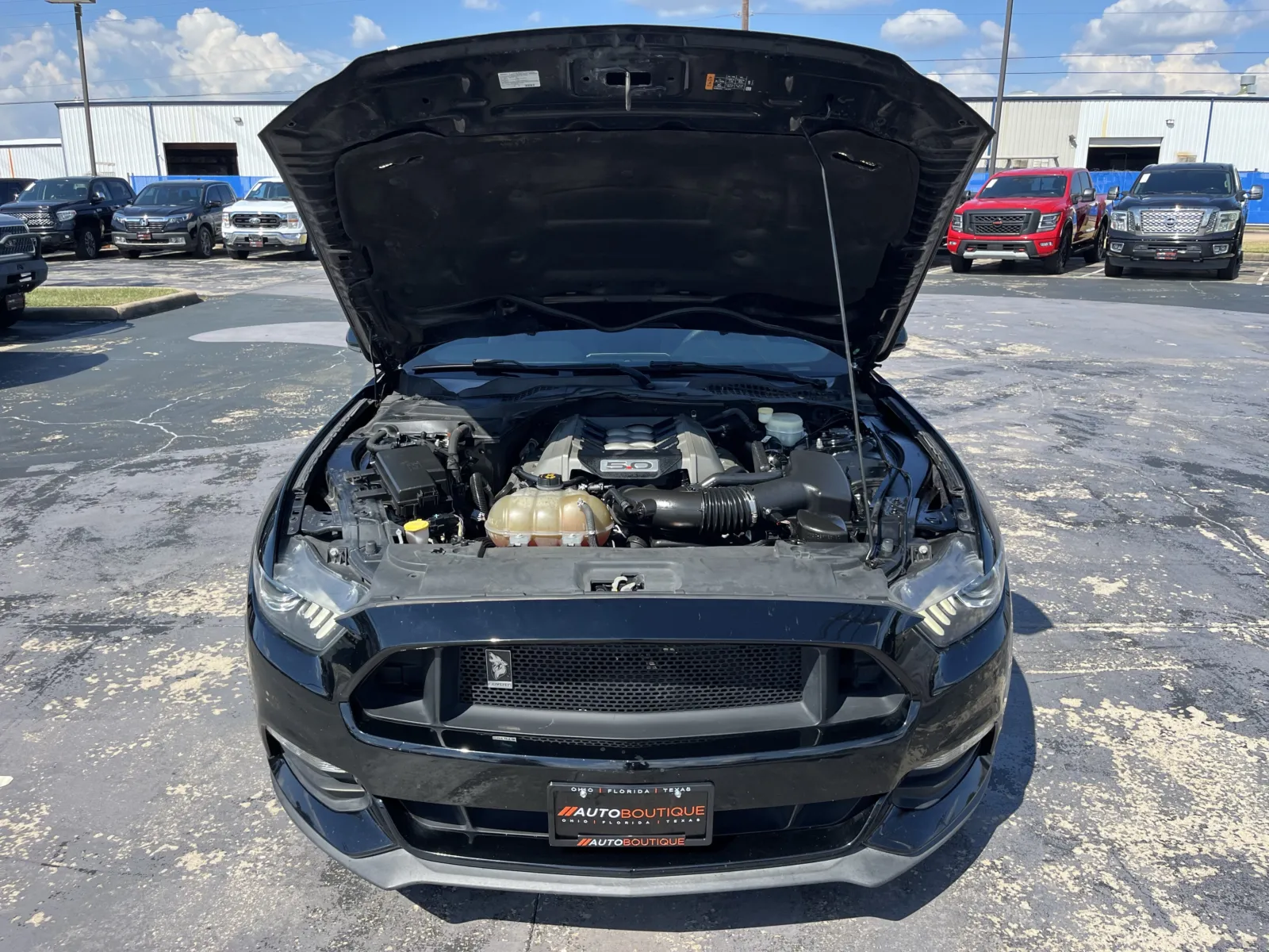 Ford Mustang photo 11