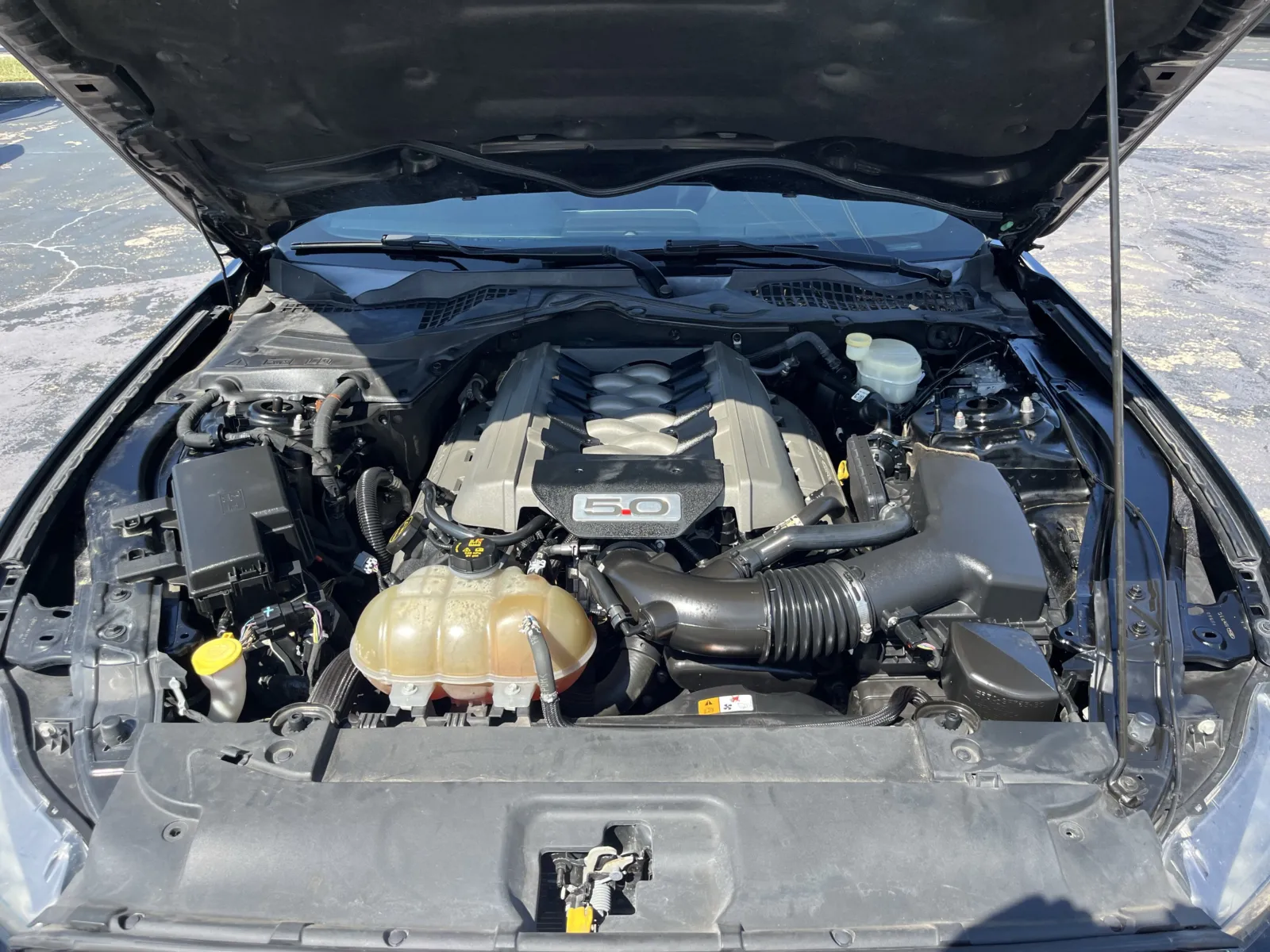 Ford Mustang photo 12