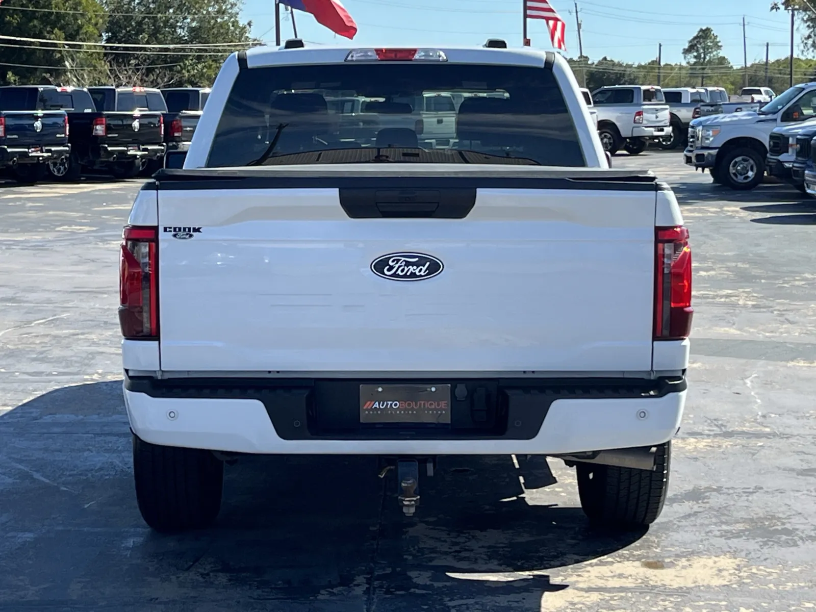 Ford F-150 photo 8
