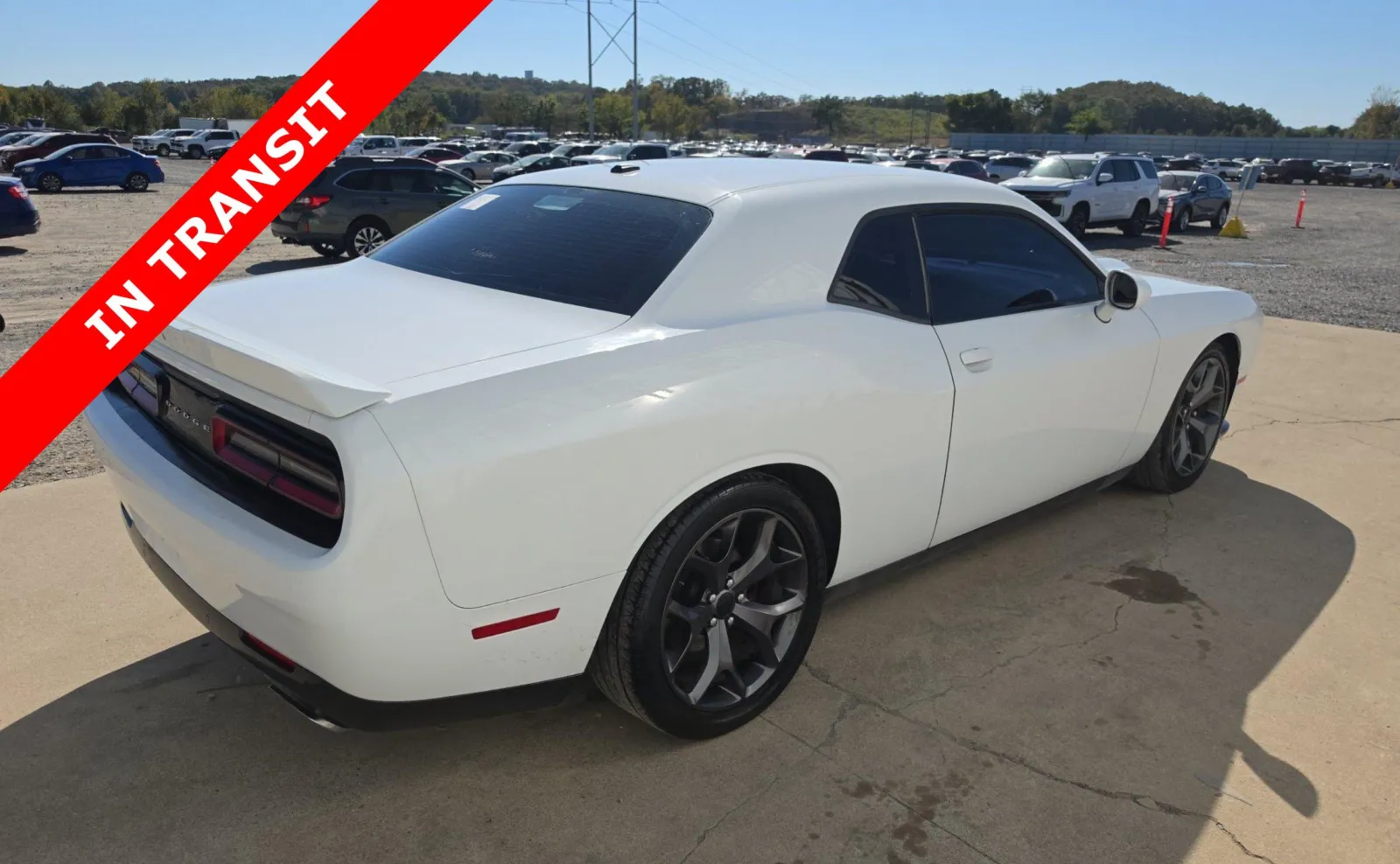Dodge Challenger photo 4
