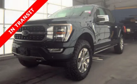 Gray 2021 Ford F-150 Platinum for sale in Alvin, TX