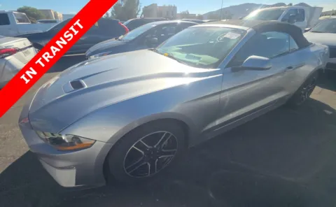 Silver 2023 Ford Mustang EcoBoost Premium for sale in Alvin, TX