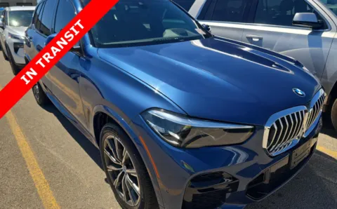 Gray 2022 BMW X5 sDrive40i for sale in Alvin, TX