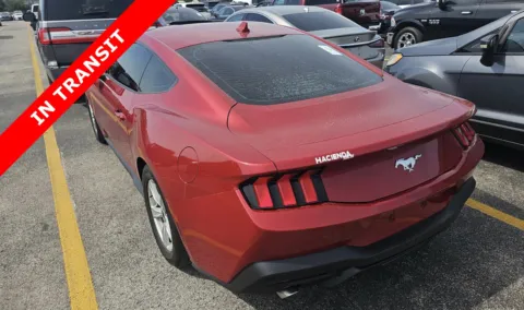 More photos of 2024 Ford Mustang EcoBoost at Auto Boutique Texas, TX