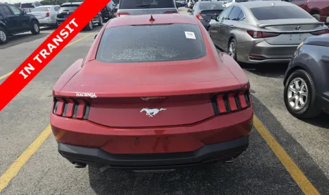 More photos of 2024 Ford Mustang EcoBoost at Auto Boutique Texas, TX