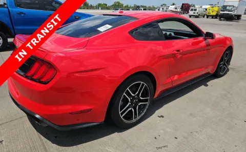 More photos of 2019 Ford Mustang EcoBoost at Auto Boutique Texas, TX