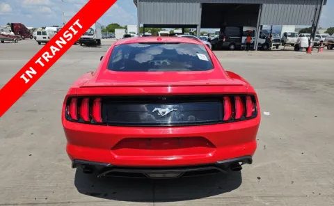 More photos of 2019 Ford Mustang EcoBoost at Auto Boutique Texas, TX