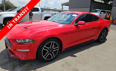 Red 2019 Ford Mustang EcoBoost for sale in Alvin, TX