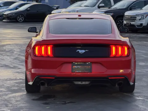 More photos of 2019 Ford Mustang EcoBoost at Auto Boutique Texas, TX
