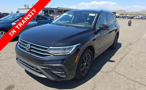 Blue 2024 Volkswagen Tiguan Wolfsburg Edition for sale in Alvin, TX