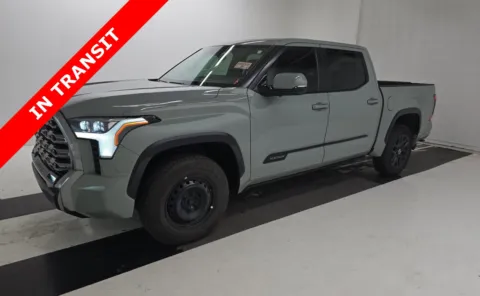 Gray 2024 Toyota Tundra Platinum for sale in Alvin, TX