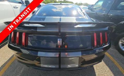 More photos of 2019 Ford Mustang Shelby GT350 at Auto Boutique Texas, TX