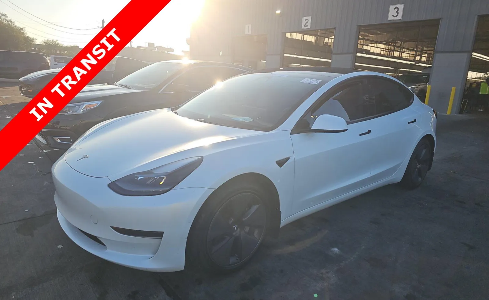 White 2021 Tesla Model 3 Standard Range Plus for sale in Alvin, TX