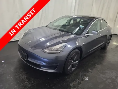 Gray 2020 Tesla Model 3 Standard Range Plus for sale in Alvin, TX