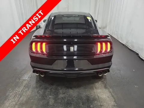More photos of 2016 Ford Mustang Shelby GT350 at Auto Boutique Texas, TX