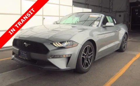 Silver 2022 Ford Mustang EcoBoost Premium for sale in Alvin, TX