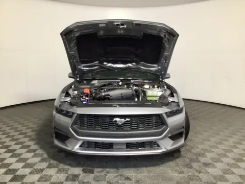 More photos of 2026 Ford Mustang EcoBoost Premium at Don Wood Ford Lincoln, OH