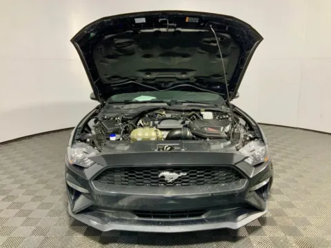 More photos of 2021 Ford Mustang EcoBoost at Don Wood Ford Lincoln, OH