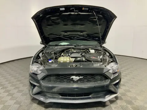 More photos of 2021 Ford Mustang EcoBoost at Don Wood Ford Lincoln, OH