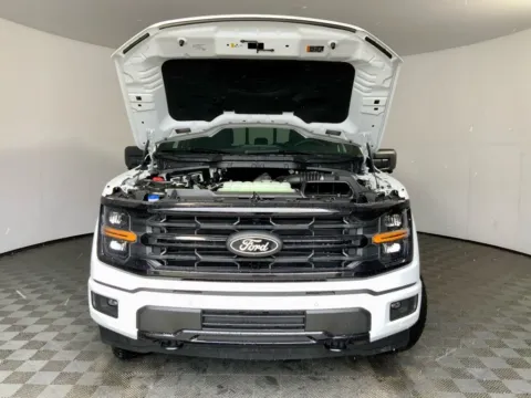 More photos of 2026 Ford F-150 XLT at Don Wood Ford Lincoln, OH