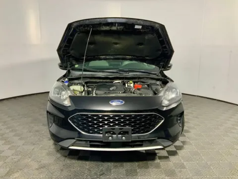 More photos of 2020 Ford Escape SE at Don Wood Ford Lincoln, OH