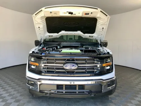 More photos of 2026 Ford F-150 XLT at Don Wood Ford Lincoln, OH