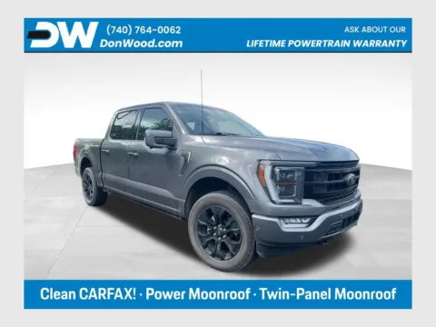 Gray 2022 Ford F-150 Platinum for sale in Athens, OH