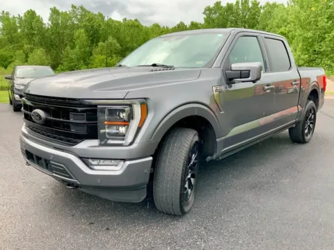 More photos of 2022 Ford F-150 Platinum at Don Wood Ford Lincoln, OH