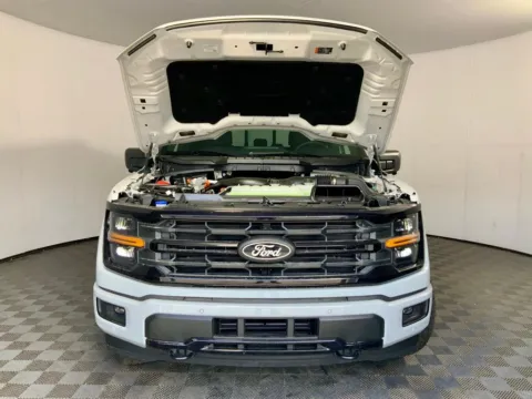 More photos of 2026 Ford F-150 XLT at Don Wood Ford Lincoln, OH