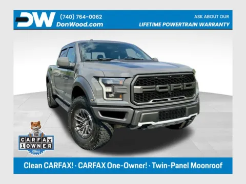 Gray 2018 Ford F-150 Raptor for sale in Athens, OH