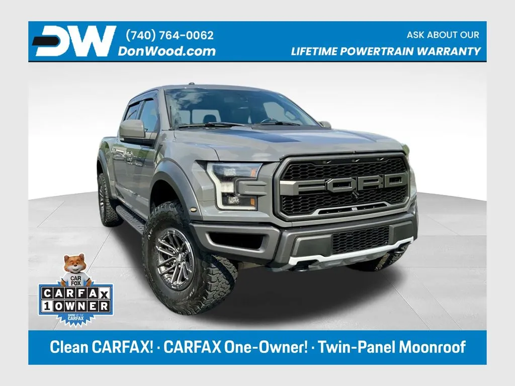 Gray 2018 Ford F-150 Raptor for sale in Athens, OH