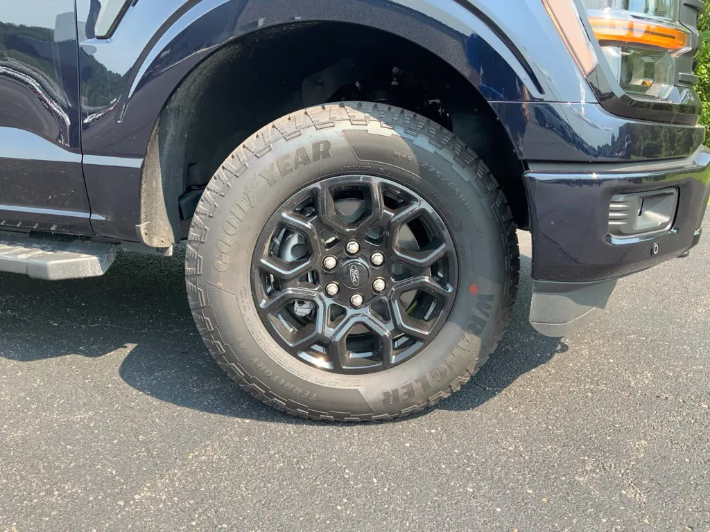 Ford F-150 photo 27