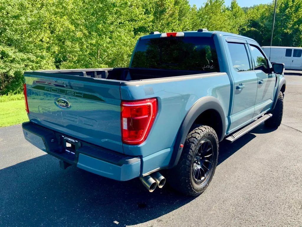 Ford F-150 photo 13
