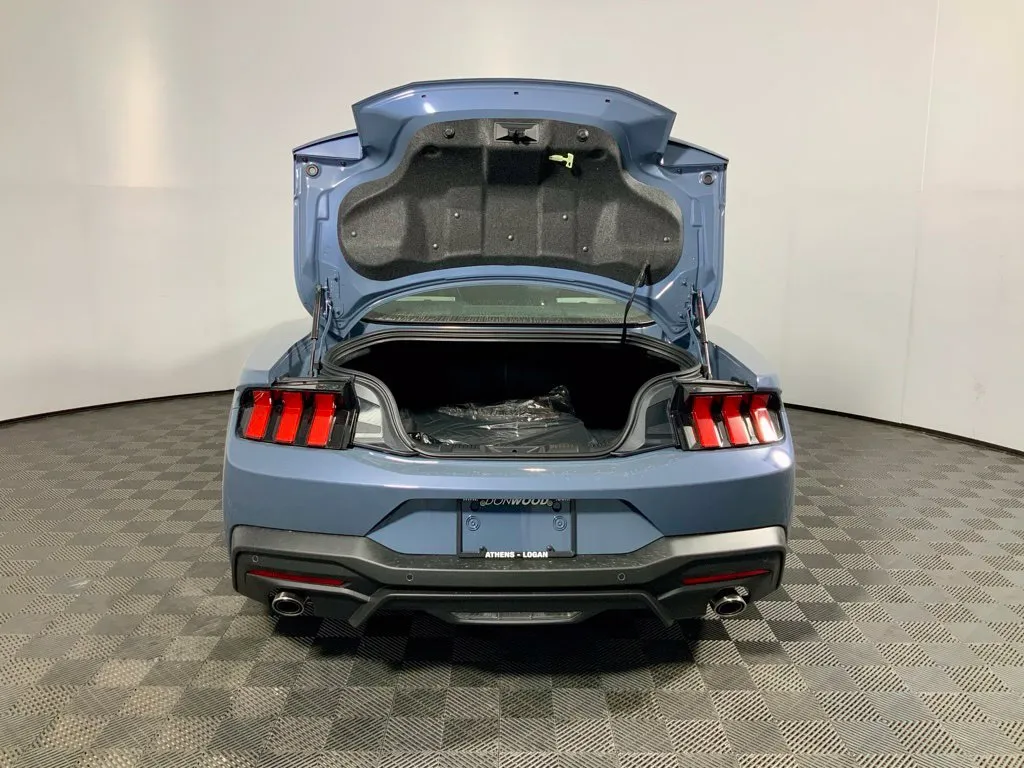 Ford Mustang photo 16
